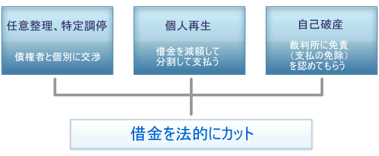 sekimu_image